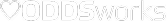Partner 5